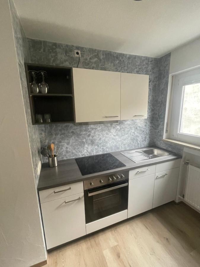Ferienwohnung Roeck Hornberg Kültér fotó